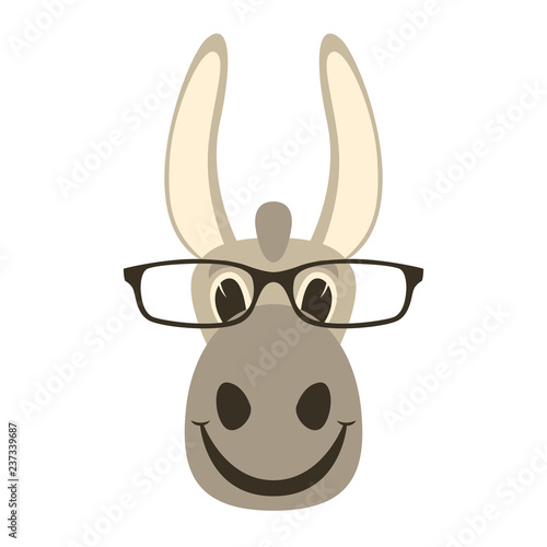 donkey face in glasses, vector illustration front 