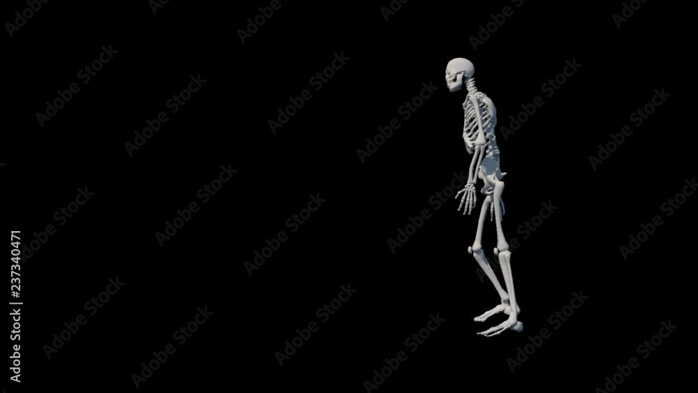 Skeleton shooting soccer SIDE Skeleton shooting soccer SIDE