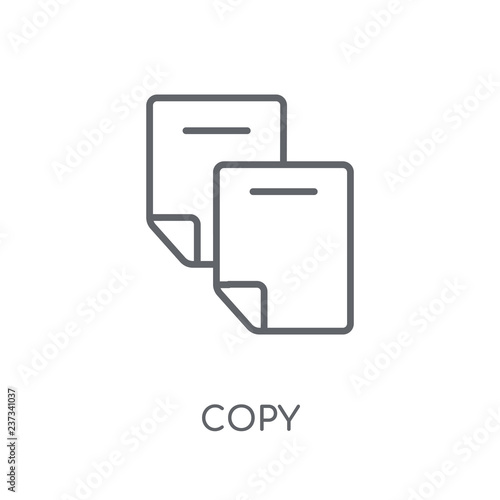 Copy linear icon. Modern outline Copy logo concept on white background from User Interface and Web Navigation collection