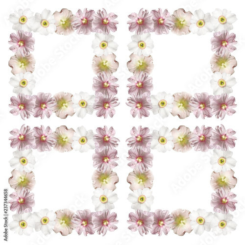 Fototapeta Naklejka Na Ścianę i Meble -  Square of mallow and daffodils 