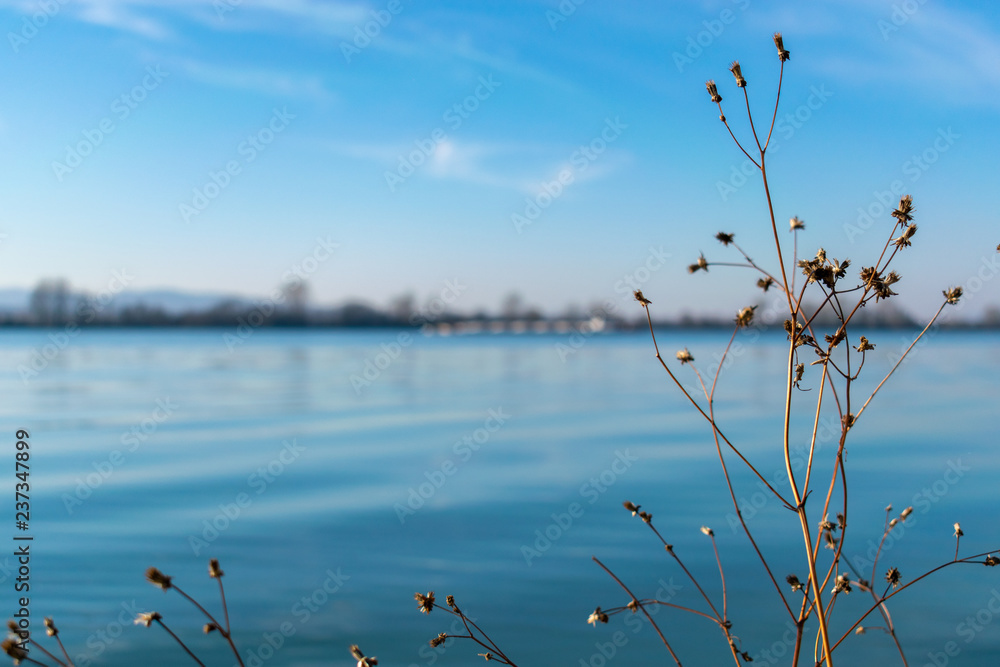 Fototapeta premium blue water and clouds on sky