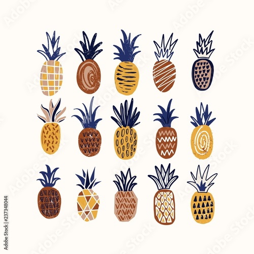 Composition with stylized pineapples of various texture on white background. ...