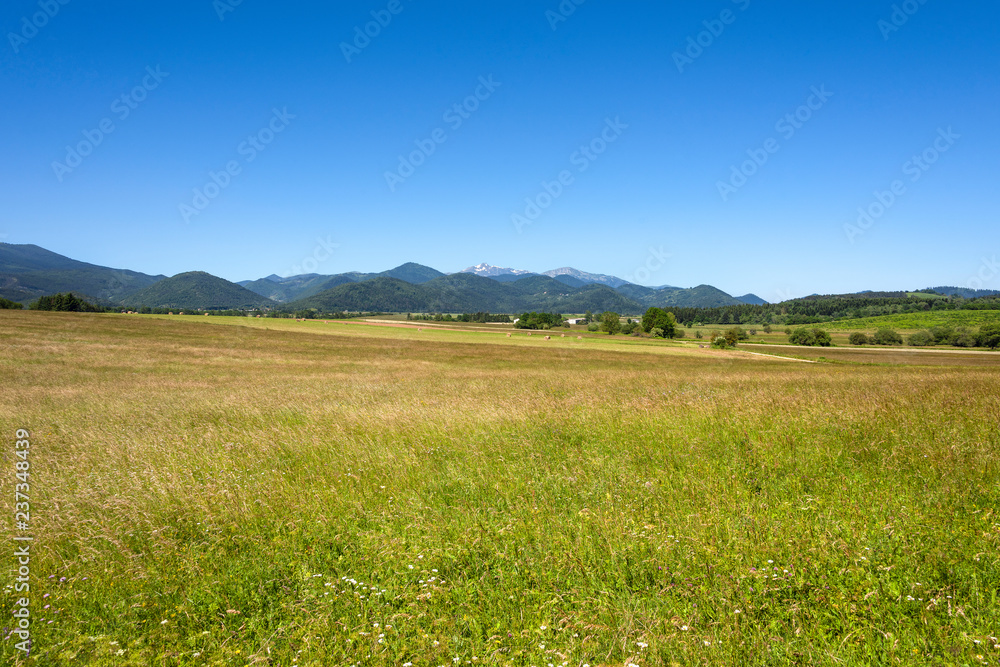 Panoramic view of open healthy nature with green fields, skyline, sunny blue sky and mountain chain in the background - concept landscape environment travel aggriculture field natural park scenic