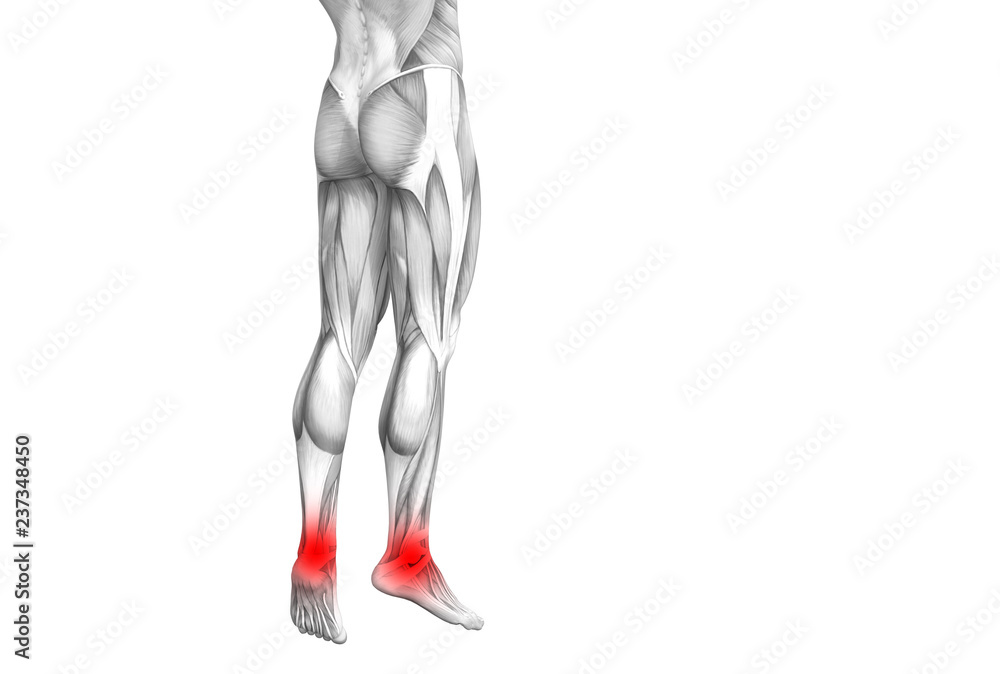 Conceptual ankle human anatomy with red hot spot inflammation or articular joint pain for leg health care therapy or sport muscle concepts. 3D illustration man arthritis or bone osteoporosis disease Conceptual ankle human anatomy with red hot spot inflammation or articular joint pain for leg health care therapy or sport muscle concepts. 3D illustration man arthritis or bone osteoporosis disease