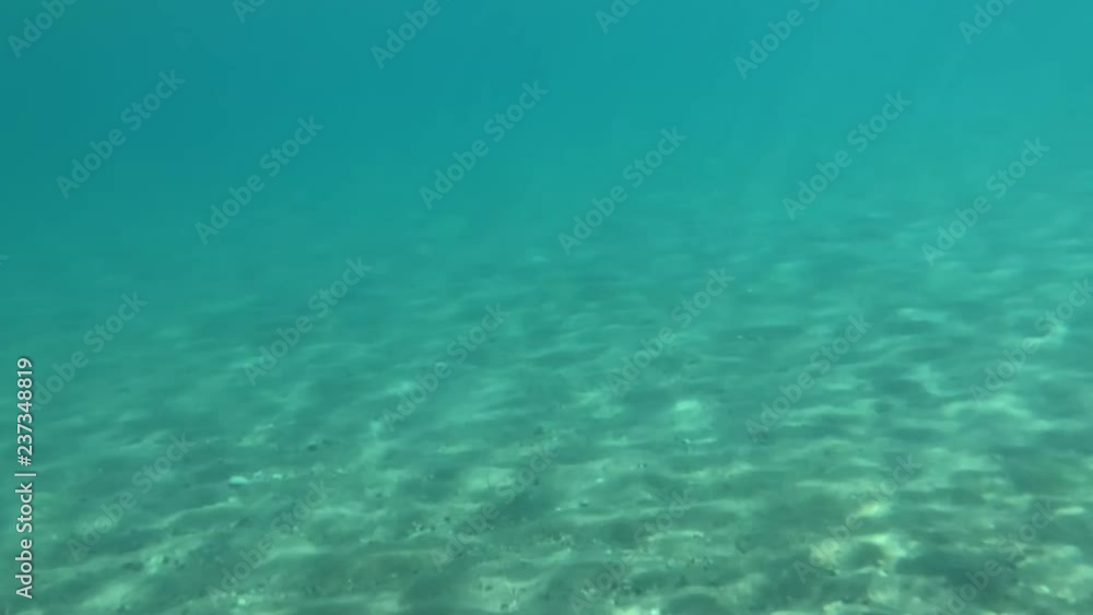 Shot taken underwater in a turquoise sea reflecting the light of sun in the ripples. Shot taken underwater in a turquoise sea reflecting the light of sun in the ripples.