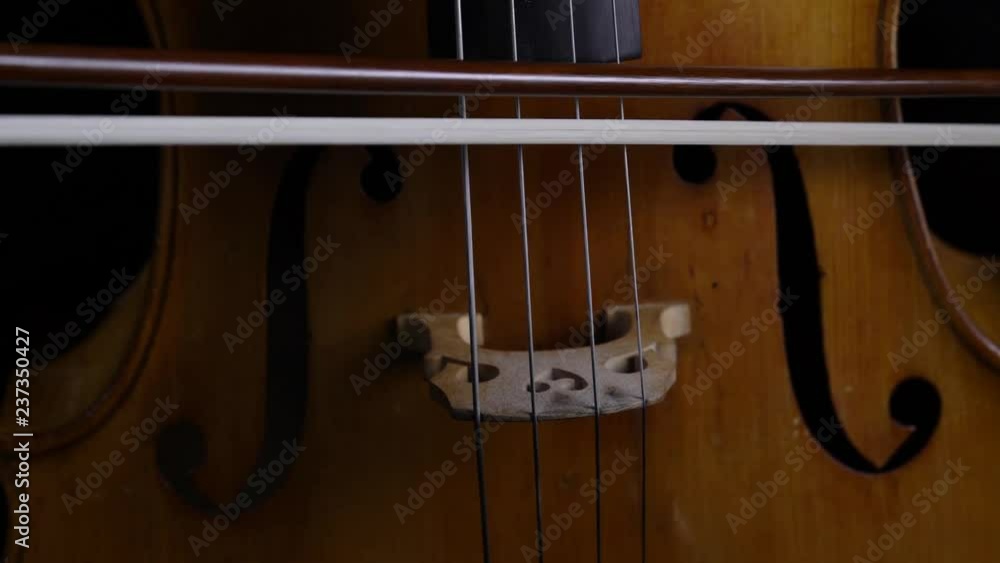 Close up of the bow touches the strings on a cello Close up of the bow touches the strings on a cello