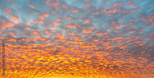Canvas Print Red dawn with cirrocumulus clouds illuminatedy by rising sun
