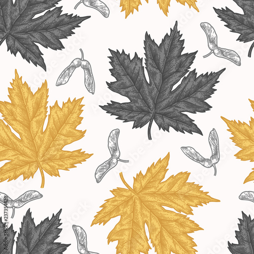 Engraving autumn maple seamless pattern.