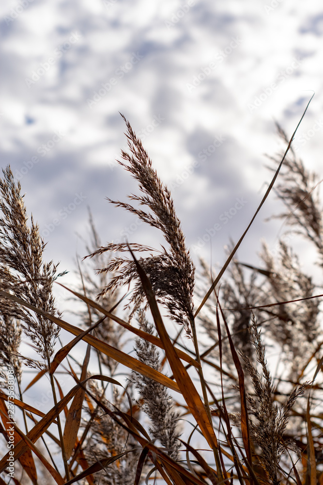 Obraz premium Ein Tag an der Weser