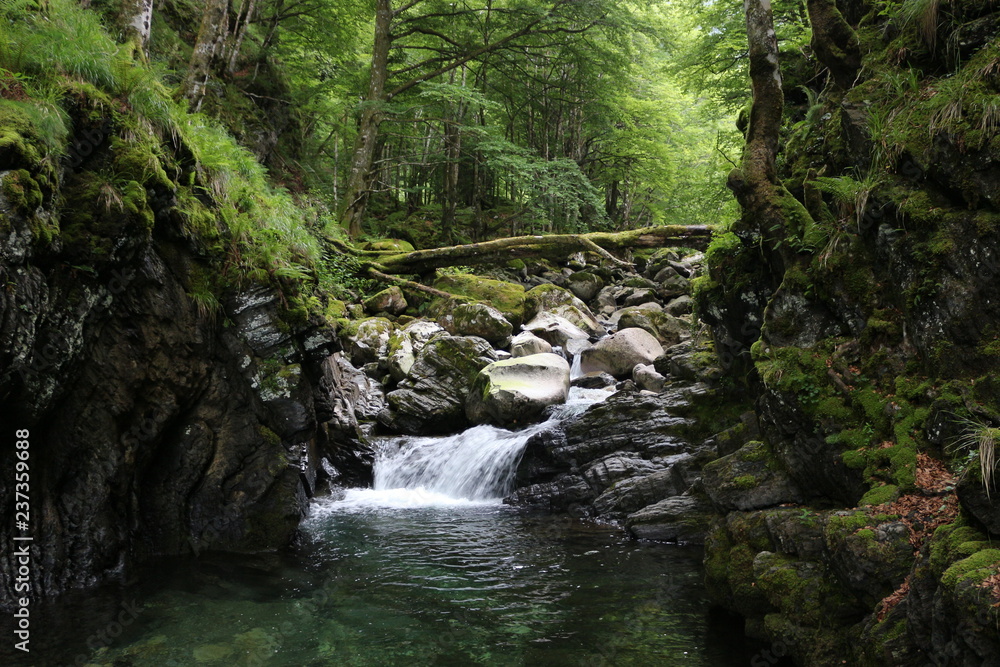 Obraz premium Cascade