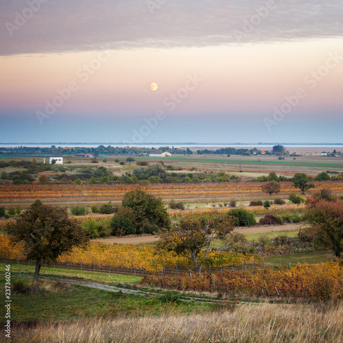 Rising moon above landscape at lake neudiedl in Burgenland