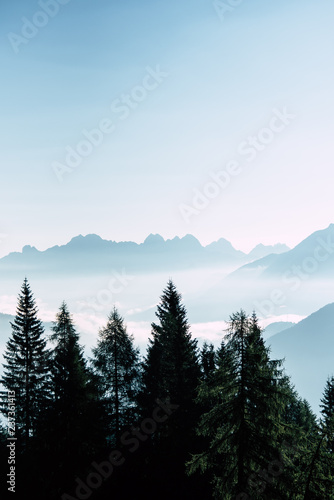 Fototapeta Naklejka Na Ścianę i Meble -  mountains in the fog