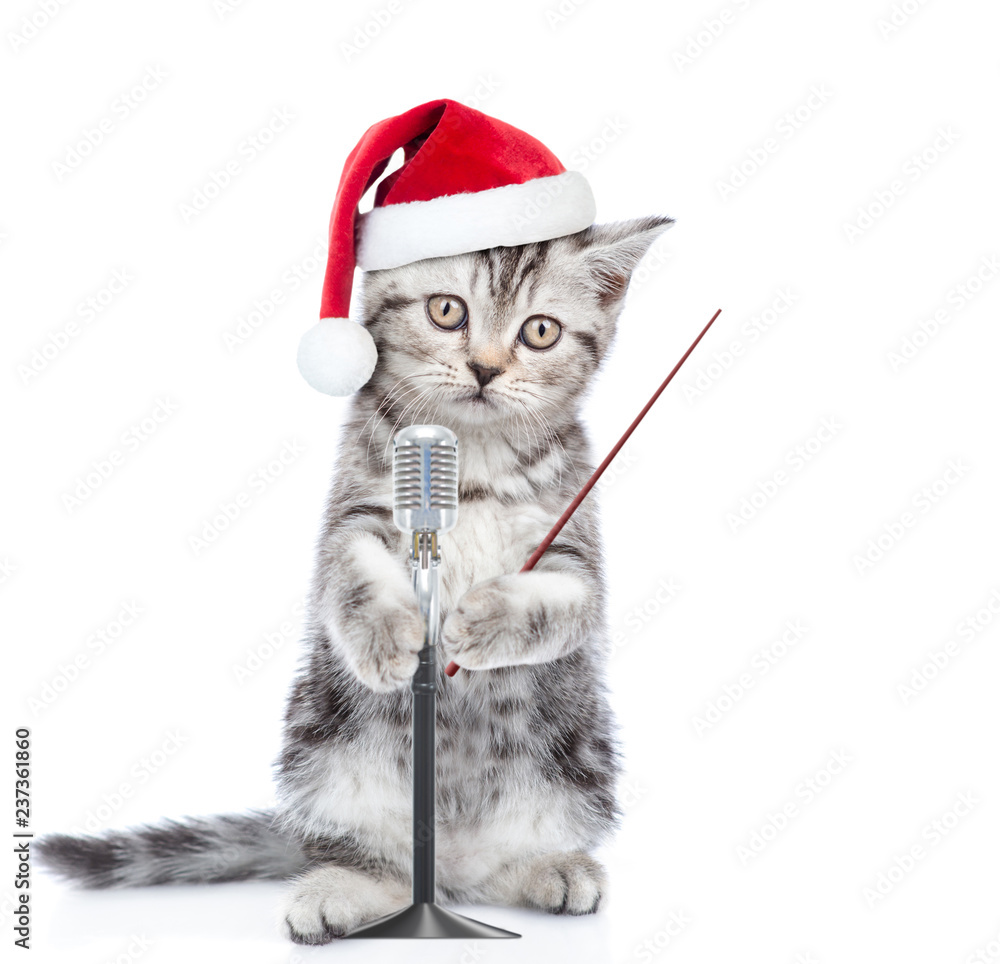Sad kitten in cristmas hat holds microphone for karaoke song and pointing away. isolated on white background Sad kitten in cristmas hat holds microphone for karaoke song and pointing away. isolated on white background