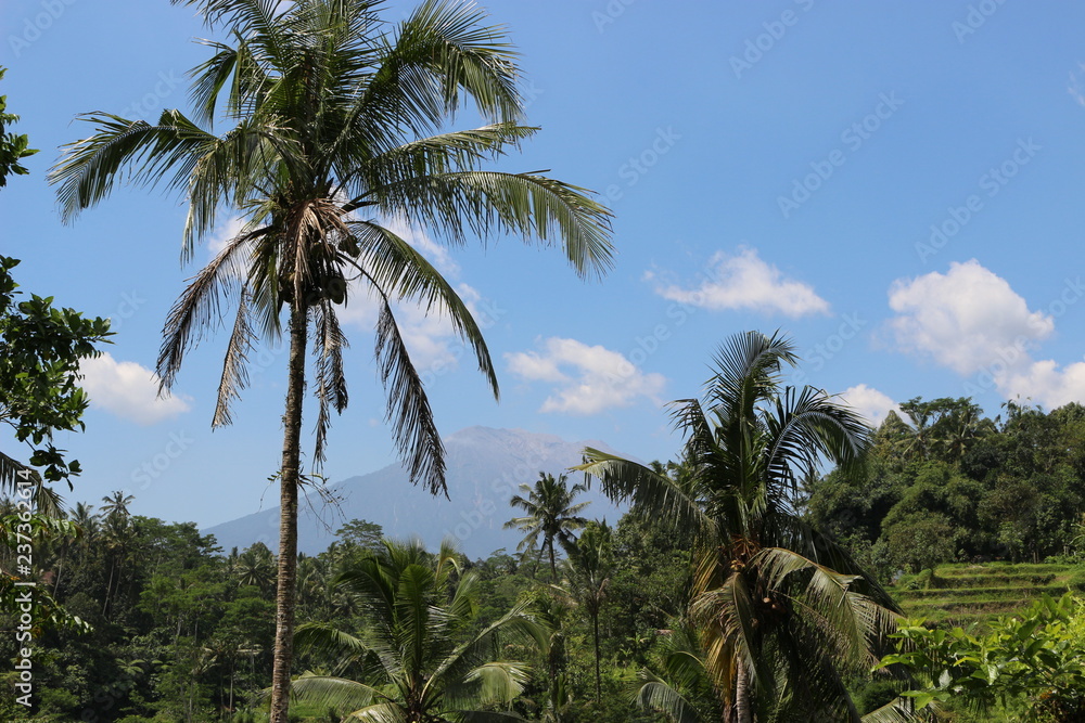 Paysage tropical Indonésie