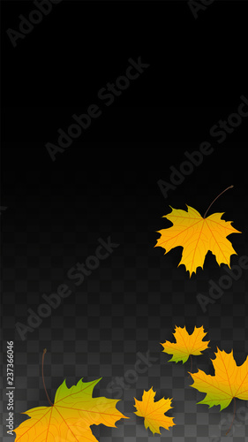 September Vector Background with Golden Falling Leaves. Autumn Illustration with Maple Red, Orange, Yellow Foliage. Isolated Leaf on Transparent Background. Bright Swirl. Suitable for Posters.