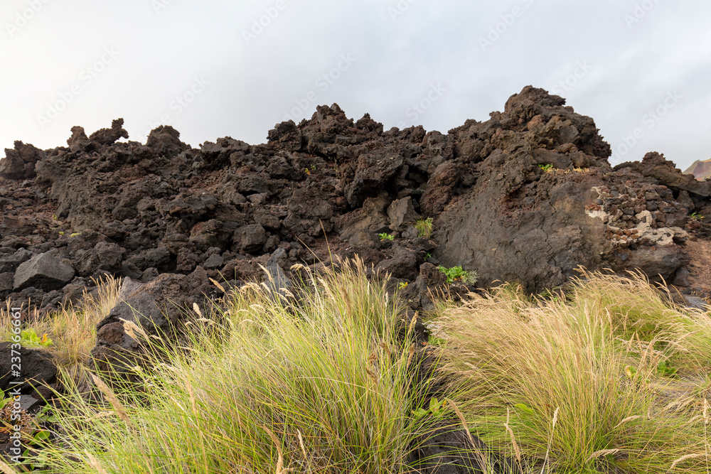 Arid grass grows among volcanic rocks near the Piscina Natural da Ponta da Ferraria. Arid grass grows among volcanic rocks near the Piscina Natural da Ponta da Ferraria.