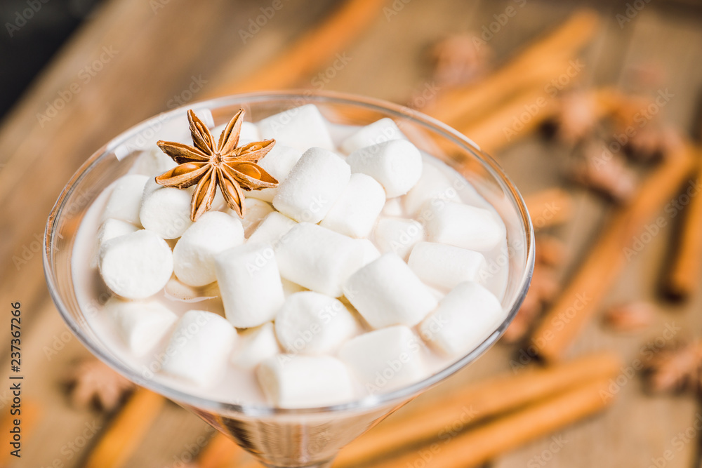 Chocolate martini with spices and marshmallow on the rustic background. Selective focus. Shallow depth of field. Chocolate martini with spices and marshmallow on the rustic background. Selective focus. Shallow depth of field.