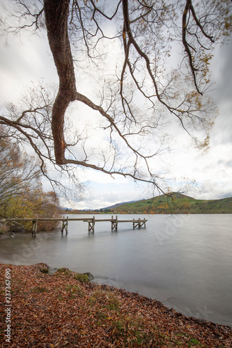Wallpaper Mural Jetty, Lake Hayes Torontodigital.ca