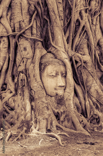 face of buddha © PPriVatEE_PALM