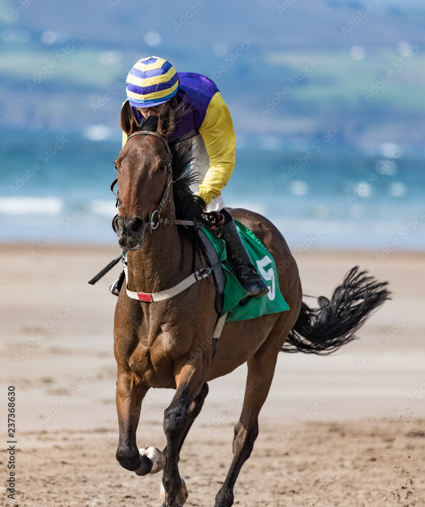 Single race horse and jockey galloping on the beach Single race horse and jockey galloping on the beach