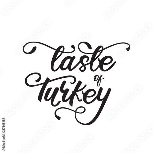 Lettering design  Taste of Turkey . Vector illustration.