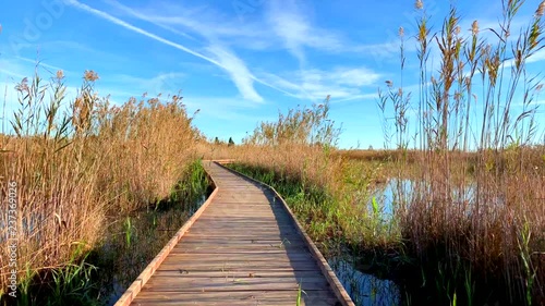 Wooden path in a bird observatory, in the wetlands natural park La Marjal in Pego and Oliva, Spain