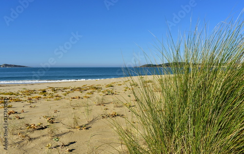 Beach with vegetation in sand dunes and small waves breaking. Blue sea with foam, sunny day. Galicia, Spain. © JB
