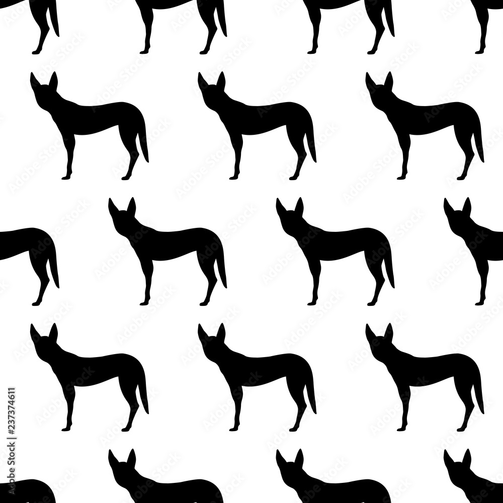Seamless pattern with silhouettes of Dingo dog.