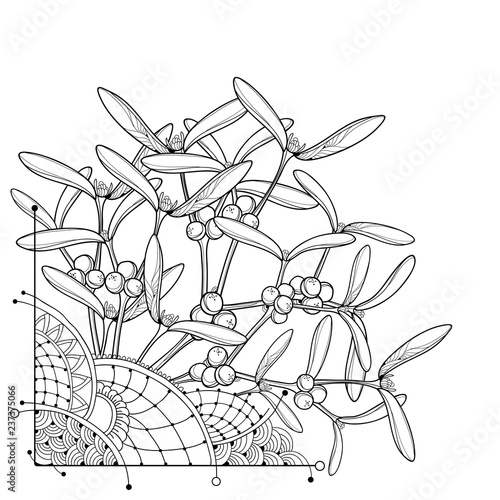 Vector corner bunch with outline Mistletoe branch in black isolated on white background. Leaves and berry of Mistletoe in contour style for Christmas winter design or coloring book.