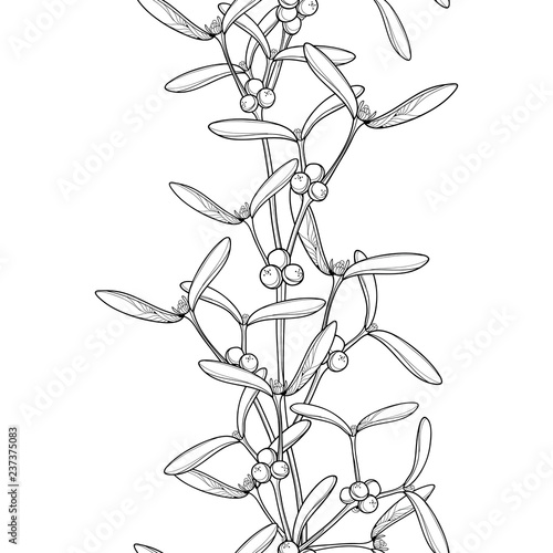 Vector monochrome vertical seamless pattern with outline Mistletoe with leaves and berry in black on the white background. Contour Mistletoe branch for Christmas winter design or coloring book.