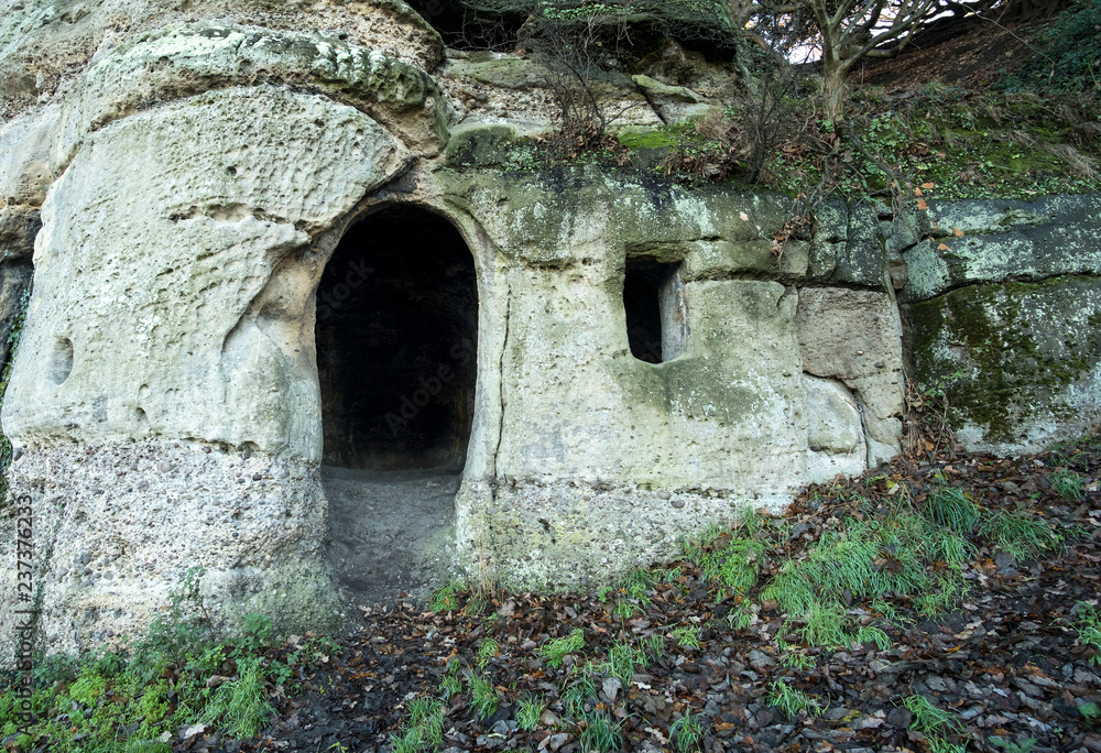 Crude cave door and window