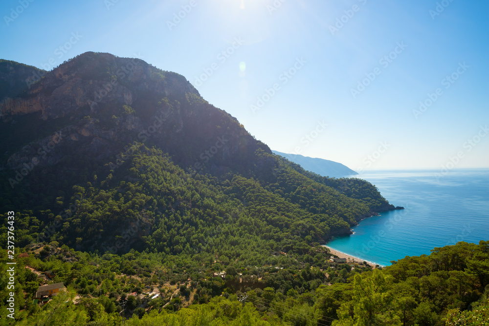 Panoramic view of rocky shores covered with lush pines