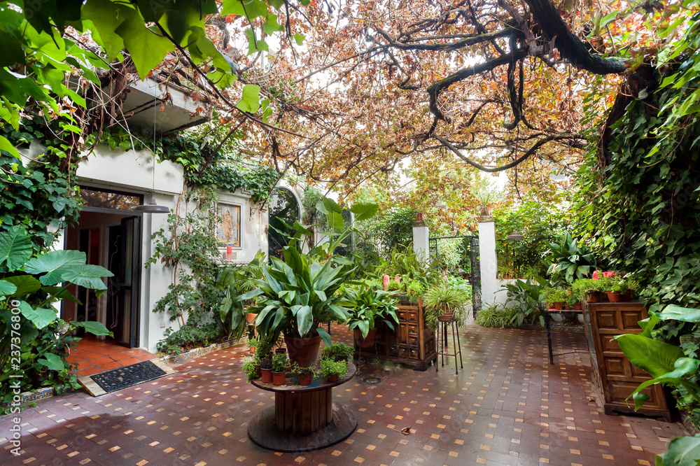 Green plants and trees inside courtyard of historical house in Andalusia. Home garden with beautiful flowerpots in tradition style of Spain Green plants and trees inside courtyard of historical house in Andalusia. Home garden with beautiful flowerpots in tradition style of Spain