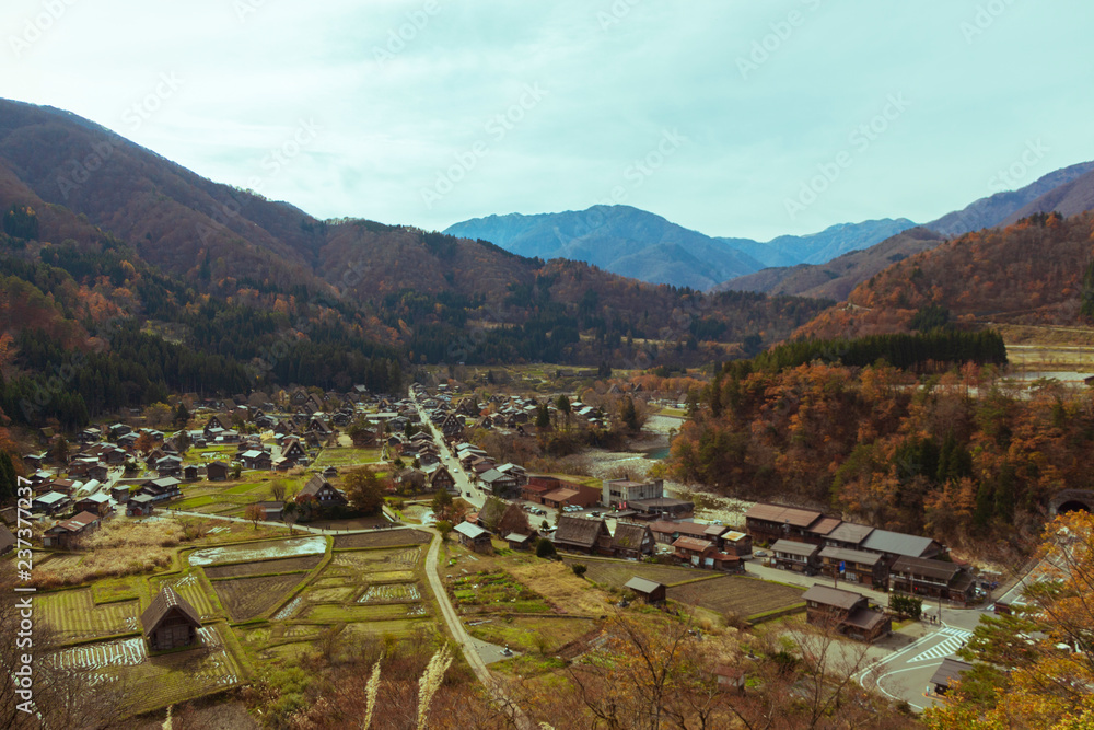 High angle view of the UNESCO World Heritage site in Shirakawa go with traditional Japanese Wada houses and their characteristic thick thatched roofs among yellow autumn leaves and paddy fields