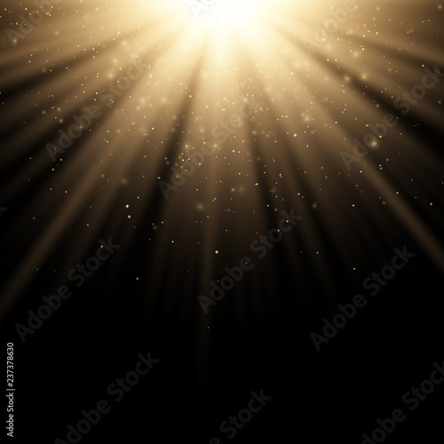 Golden stylish light effect on a black background. Golden rays. Bright explosion. Flying golden magical dust. Sunlight. Christmas light. Vector illustration