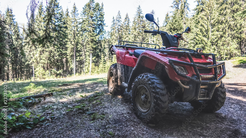red quad bike in the forest, side and front view red quad bike in the forest, side and front view