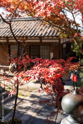 eikando in kyoto