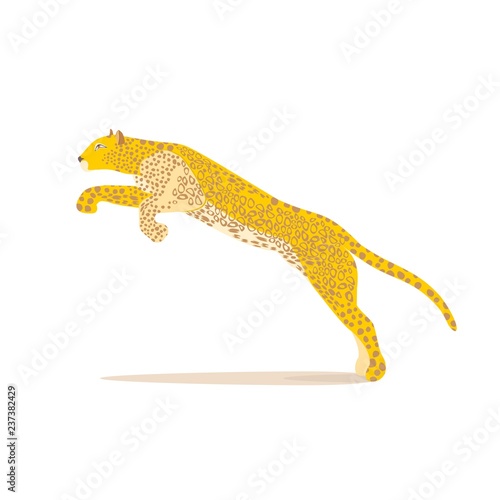 Predatory cat. Leopard. Cheetah. Animal. Vector illustration.