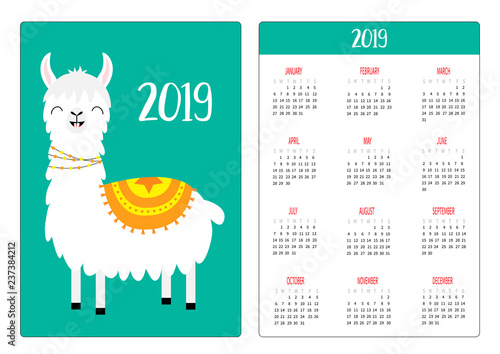 Cute llama alpaca smiling teeth. Simple pocket calendar layout 2019 new year. Week starts Sunday. Vertical orientation. Cartoon kawaii funny baby character. Flat design. Green background.