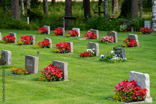 Rows of gravestones with red and pink flowers
