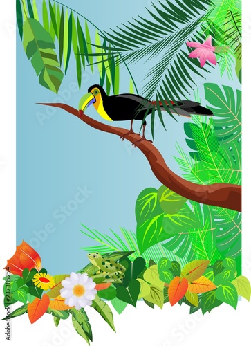 Toucan bird, on tree branch, tropical exotical background, jungle.