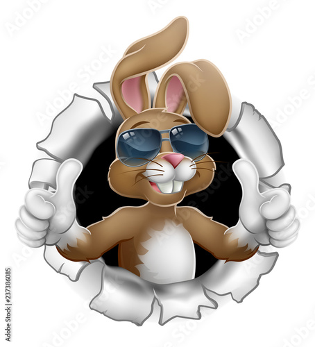 Easter bunny rabbit cartoon character in cool sunglasses or shades breaking through the background and giving a thumbs up