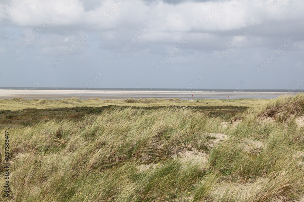 Borkum, Dünen Borkum, Dünen