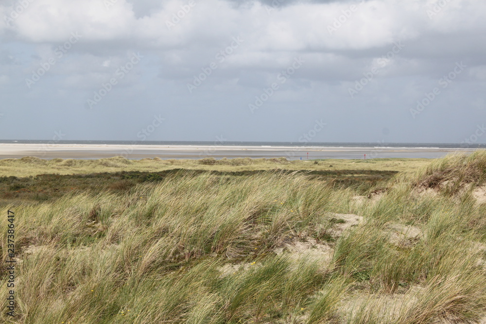 Borkum, Dünen