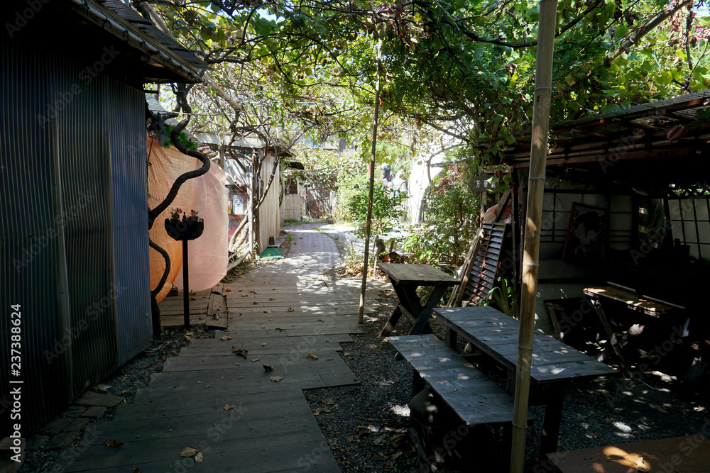 Obraz premium 家屋と道