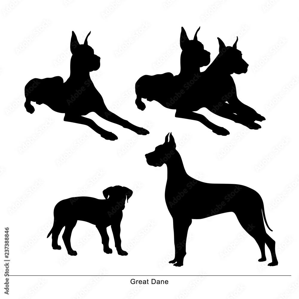 Great Dane breed dog. Vector silhouette of the dog