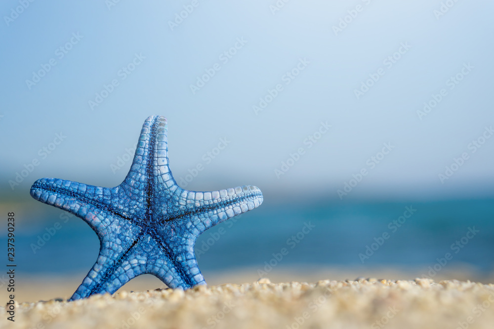 Blue starfish pinned on sand at the beach. Blue sea on background Blue starfish pinned on sand at the beach. Blue sea on background
