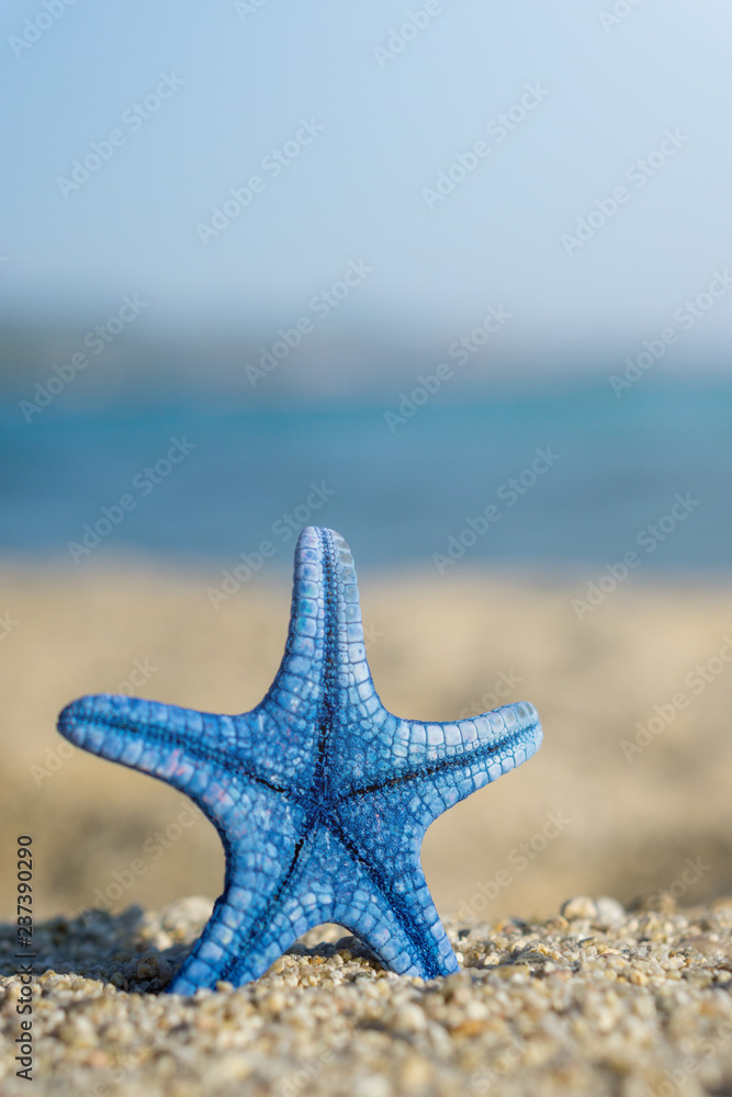 Blue starfish pinned on sand at the beach. Blue sea on background Blue starfish pinned on sand at the beach. Blue sea on background