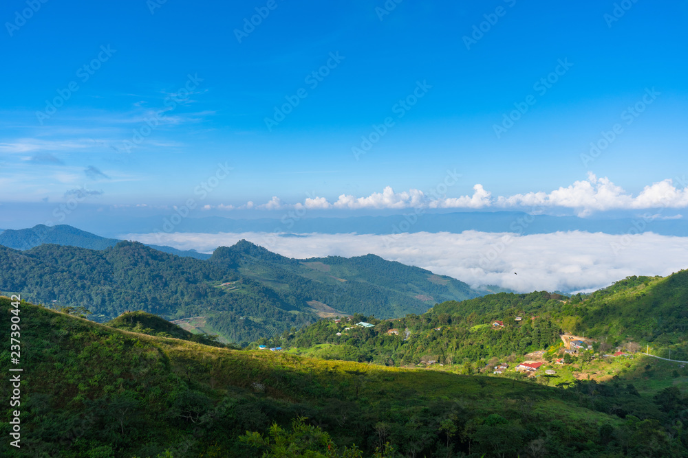 panorama View point  Mist on Doi Pha Tang Fa in chiang rai province