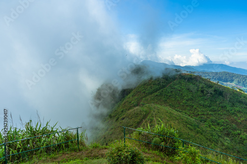 View point Mist on Doi Pha Tang Fa in chiang rai province